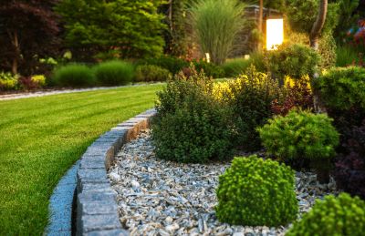 Stimulate Healthy Growth With Professional Overgrown Bush Trimming Service!