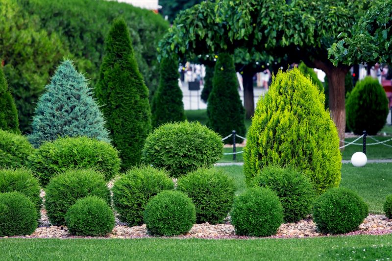 Get Professional Overgrown Bush Trimming To Reduce Pest Infestations!