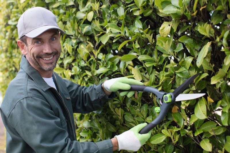 Hedge Pruning in Ventura County, CA