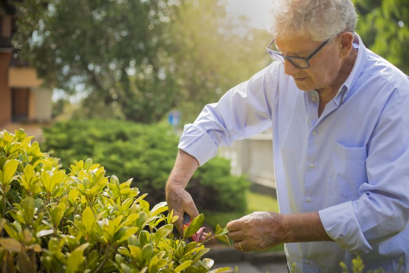 Bush Trimming