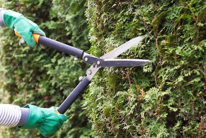 Bush Trimming Tools