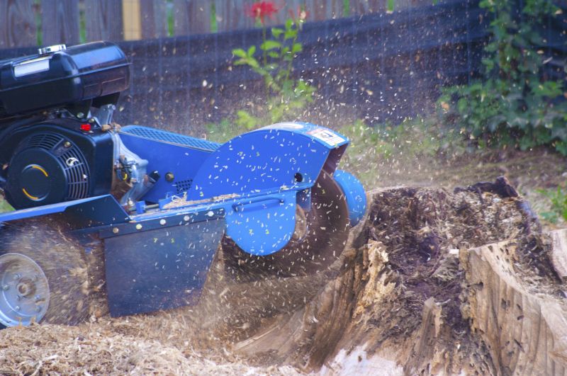 Commercial Stump Grinding in Allentown, PA