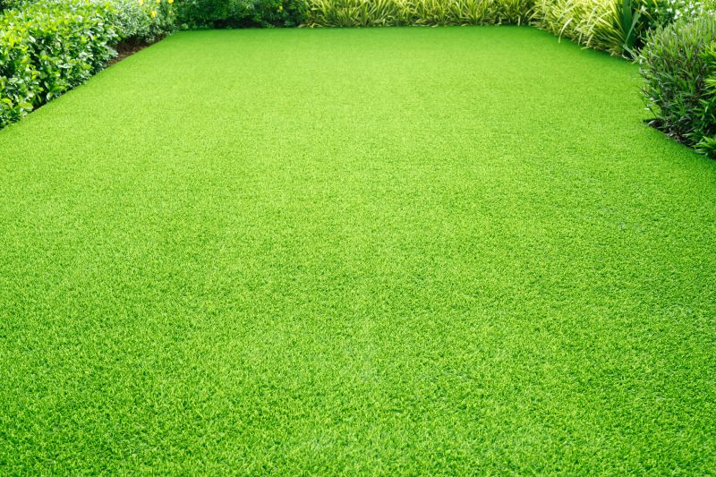 Lawn Recovery After Expert Care