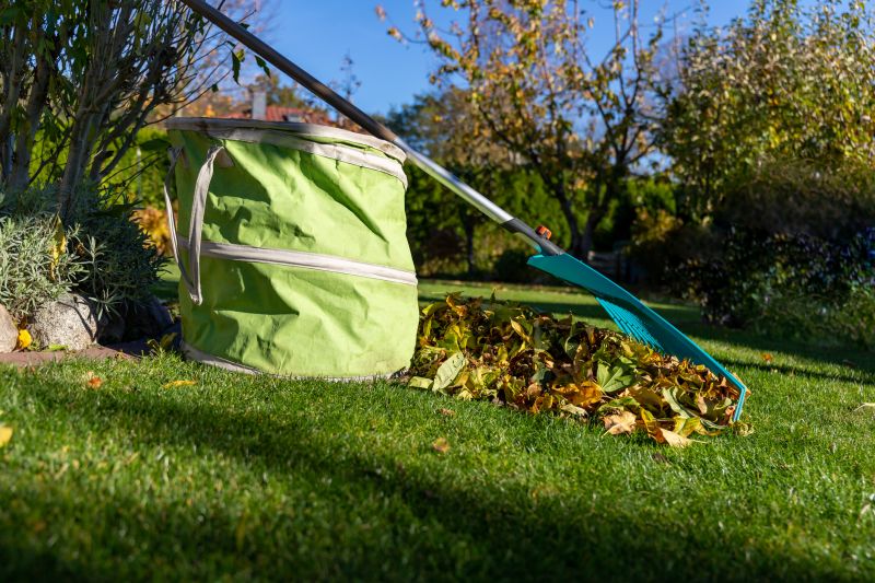 Efficient Leaf Collection Tools