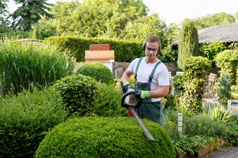 Shrub Shaping in Aiken, SC