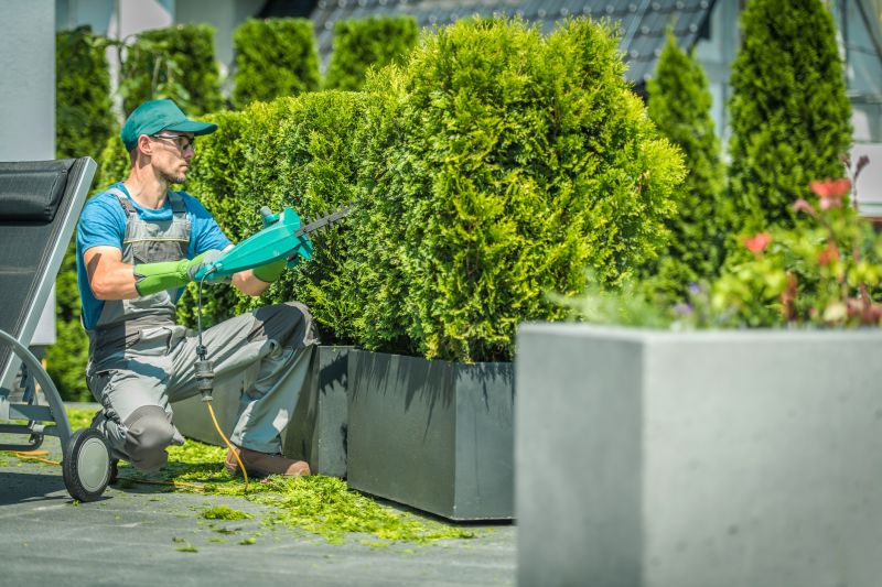 Landscaper Shaping a Bush