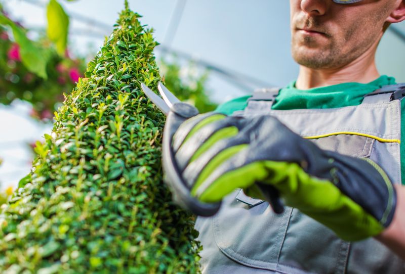Shrub Trimming in Aiken, SC